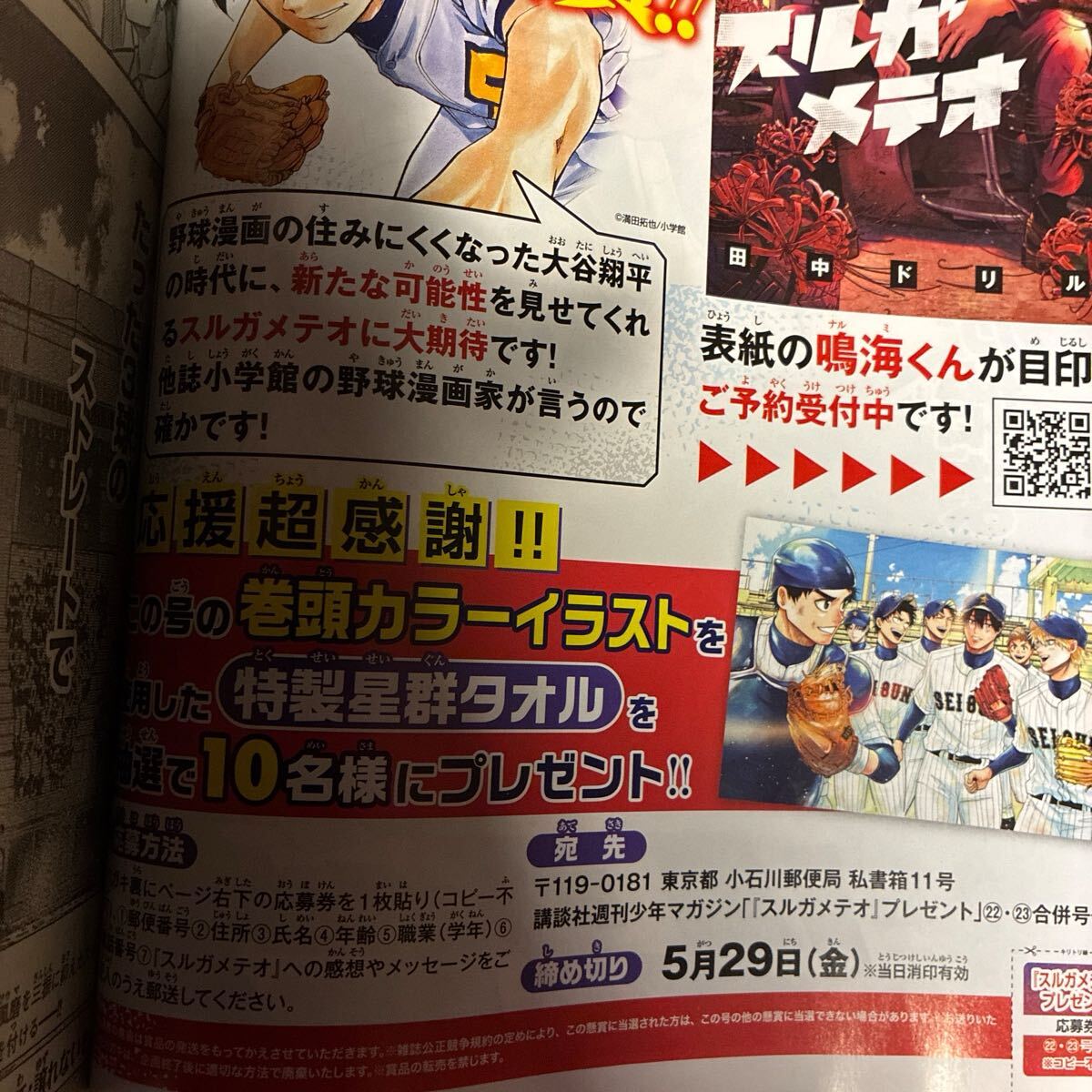 週刊少年マガジン 2026年 22・23合併号 応募券 合計4枚 櫻坂46 田村保