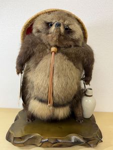 たぬき剥製の値段と価格推移は？｜3件の売買データからたぬき剥製の