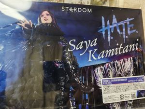 上谷沙弥のYahoo!オークション(旧ヤフオク!)の相場・価格を見る｜Yahoo
