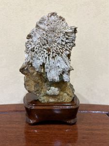 菊花石のYahoo!オークション(旧ヤフオク!)の相場・価格を見る｜Yahoo