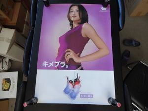 藤原紀香 ポスターの値段と価格推移は？｜12件の売買データから藤原