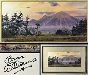 ブライアン・ウィリアムズの値段と価格推移は？｜7件の売買データから