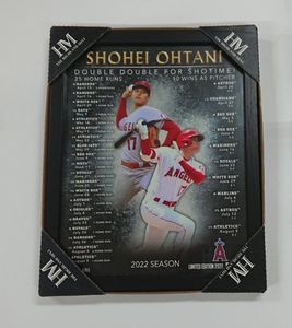 大谷翔平2022の値段と価格推移は？｜17件の売買データから大谷翔平2022