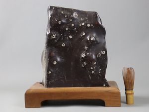 梅花石の値段と価格推移は？｜21件の売買データから梅花石の価値が