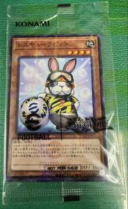 レスキューラビットの値段と価格推移は？｜8件の売買データから