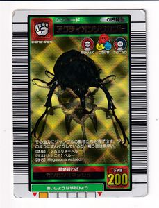 アクティオンゾウカブト ムシキングの値段と価格推移は？｜14件の売買