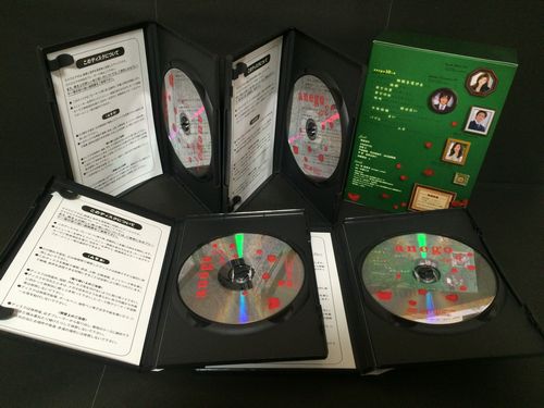 赤西仁 篠原涼子 林真理子 DVD anego アネゴ DVD-BOX
