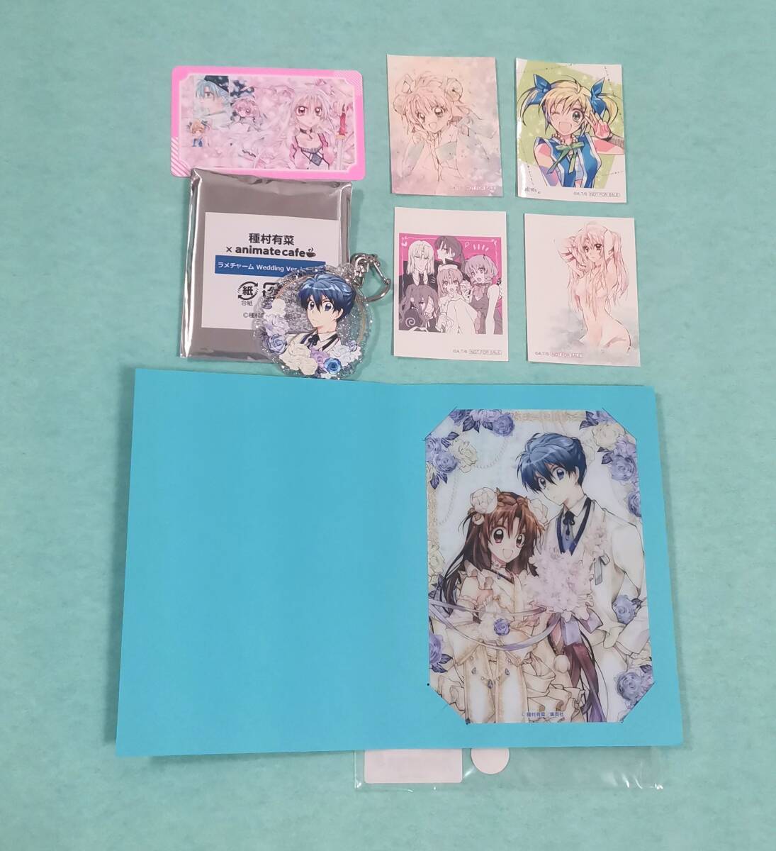 桜姫華伝の値段と価格推移は？｜2件の売買データから桜姫華伝の価値が