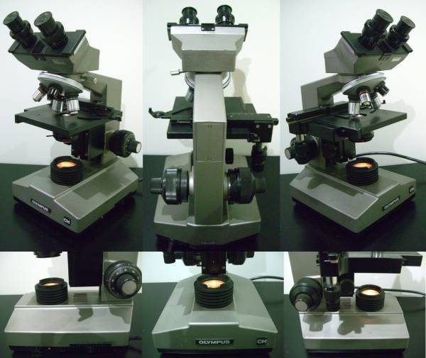 オリンパス双眼生物顕微鏡　CHBS型　1500倍まで、実用良品