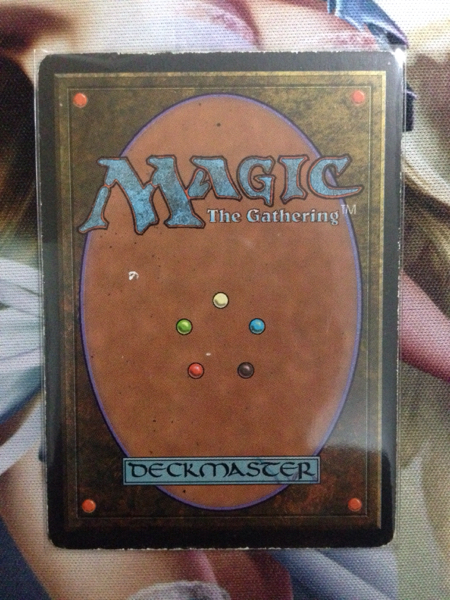 MTG 不毛の大地 英語 Foil EPX エクスペディション 【公式通販】