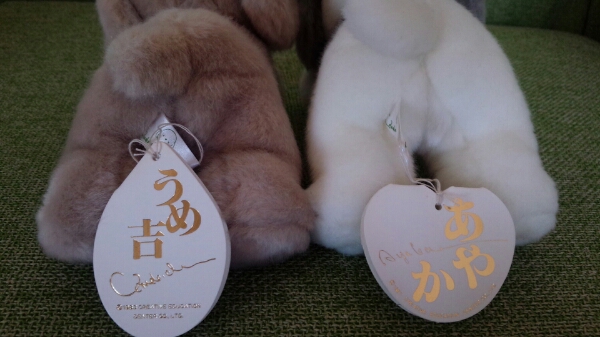 うめ吉あやか犬ぬいぐるみ タグオリエンタルトーイ創造教育 イヌ一般 売買されたオークション情報 Yahooの商品情報をアーカイブ公開 オークファン Aucfan Com