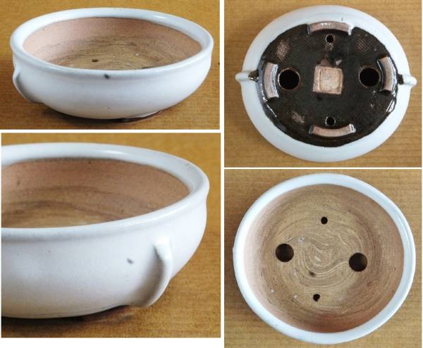 園芸用品 平安虹泉 小品盆栽