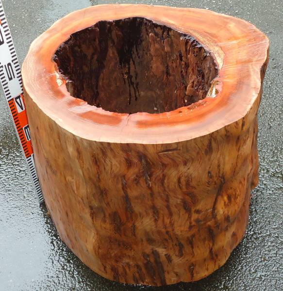 最強!蜜蜂巣箱?イス.強固さ強靭さ自然感抜群！穴空き丸太￥1円~