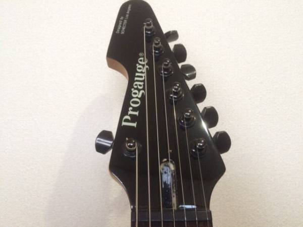 Progauge 7弦ギター ブラック系 Progauge by Schecter エレキギター 7弦 ブラックパープル 【公式通販】