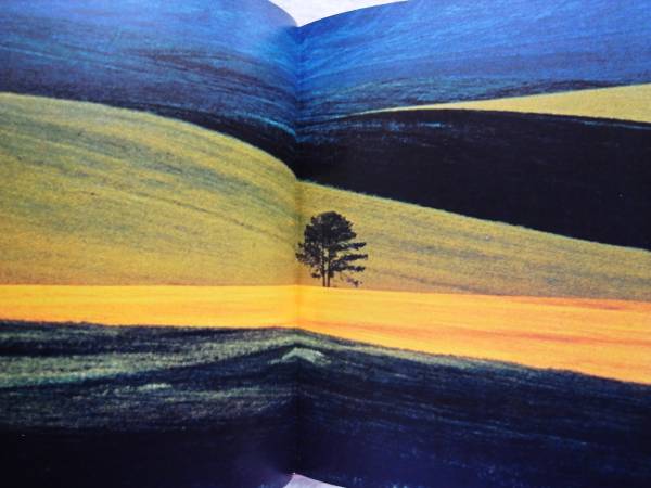 Franco Fontana / Fullcolor フランコ・フォンタナ(アート写真)｜売買  