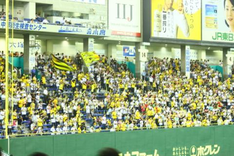 １３列■7/12（日）阪神ｖｓ巨人 ■ レフト外野指定席　４連番■