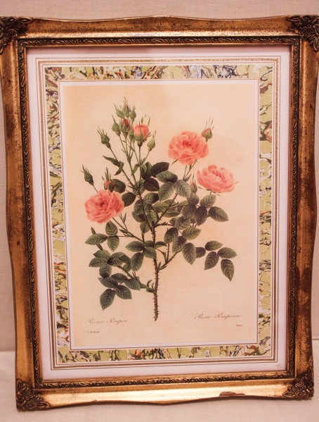 IDC大塚家具 薔薇 P.J.Redoute ピエール・ジョセフ・ルドゥーテ