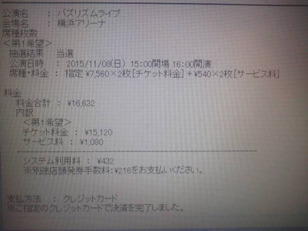 バズリズムライブ 11/8 横浜アリーナ　指定席2枚連番