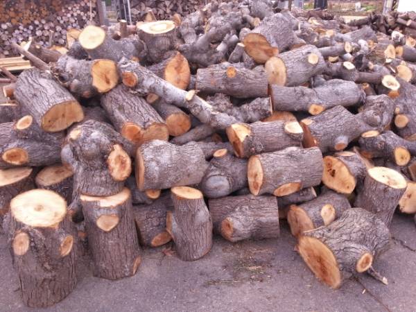 愛知より　薪　軽トラ満載　５０００円！早い者勝ち