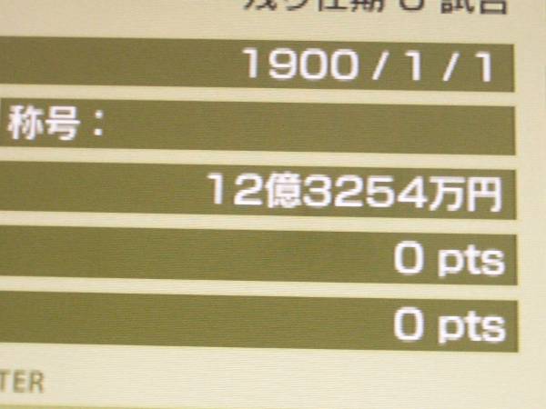 ⁄ WCCF公式ウェブサイト -WORLD CLUB Champion Football 透かし鍔 R-95