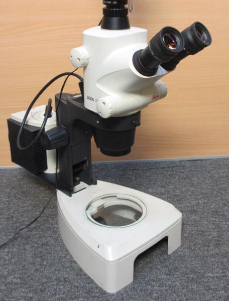 Leica ライカ グリノー実体顕微鏡 S6D 冷光照明付