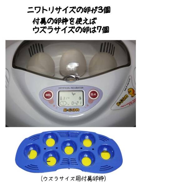 リトルママ 孵化器 Rcom PRO mini PX-03 孵卵器 リトルママ 小型自動