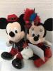 TDL☆ミッキー＆カンパニー ミッキーミニーのぬいぐるみ20㎝