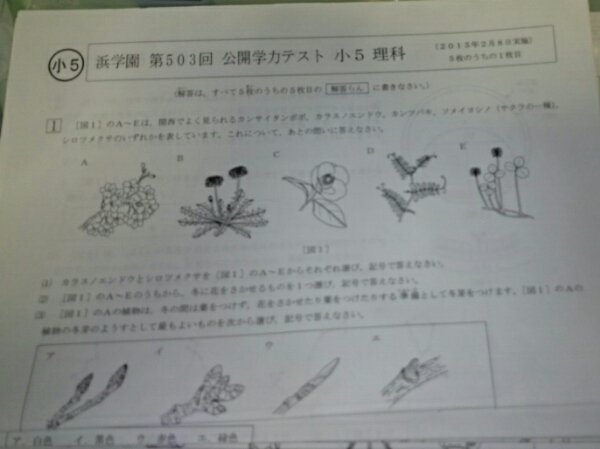 浜学園公開学力テスト 小5理科2015年度 503-514回 解答用紙付き