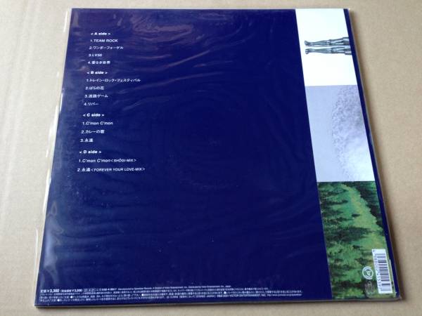 くるり-TEAM ROCK 2LP VICTOR speedstar VIJL-60085~6 帯付