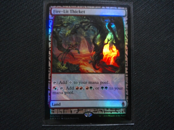 火の灯る茂み⁄Fire-Lit | MTG 土地R 日本最大級 Thicket》[SHM] The
