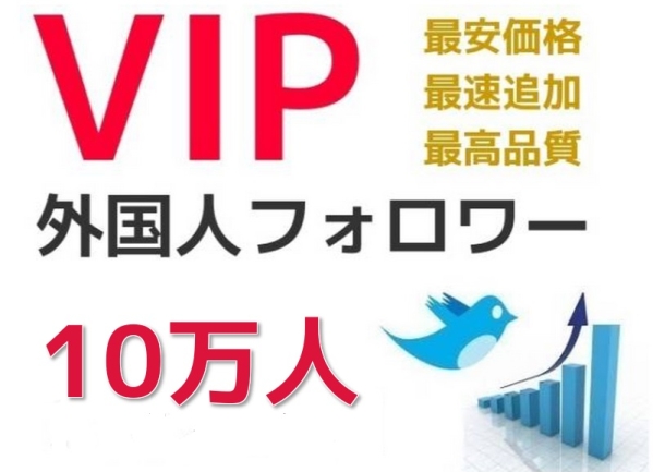 【最高品質】ツイッター外国人フォロワー１０万人追加・Twitter