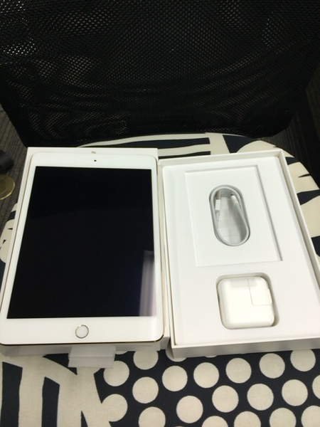 美品 iPad mini4 64GB ゴールド 純正充電器付 美品 iPad mini4 64GB