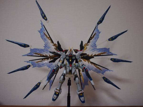 RG 1/144 ストライクフリーダムガンダム + 天空の翼 塗装済完成