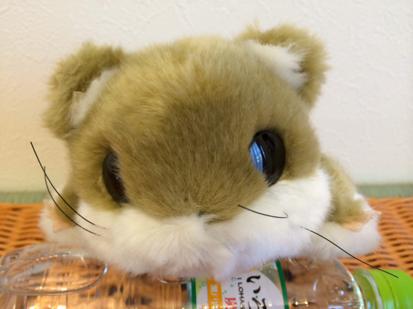 森のももんが ぬいぐるみ モモンガ 動物 売買されたオークション情報 Yahooの商品情報をアーカイブ公開 オークファン Aucfan Com