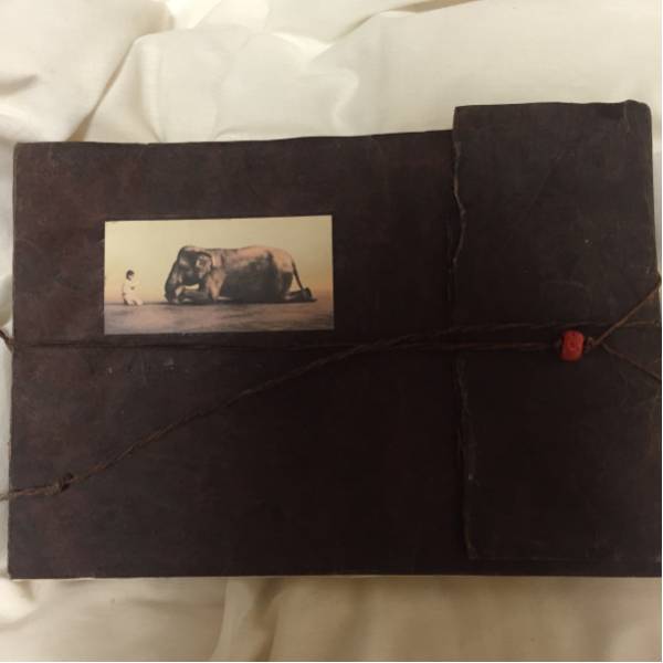 写真集 グレゴリーコルベール Gregory Colbert Ashes and Snow