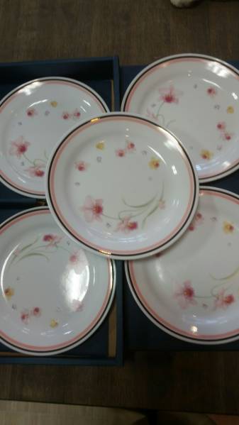 コレール iwaki ケーキ皿 CORELLE 中皿 サラダの季節 10枚セット レア