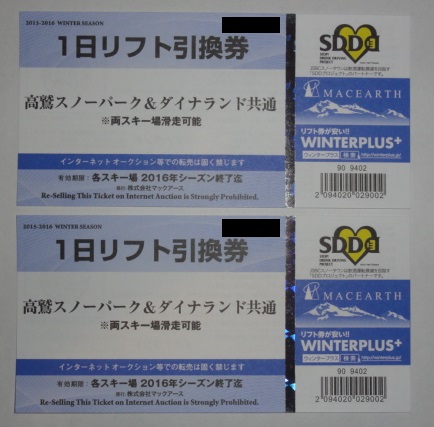 高鷲スノーパーク Dynaland リフト券 2枚セット大人 施設利用券 高鷲