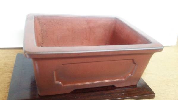 中口宜興額面長方鉢（桂珍）