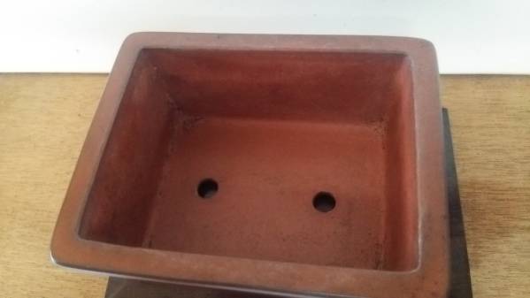 中口宜興額面長方鉢（桂珍）