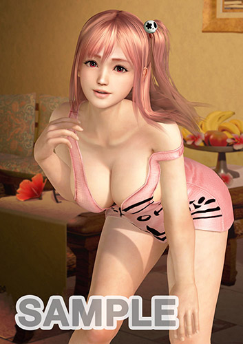 DEAD OR ALIVE Xtreme 3 宝島特典 A3マイクロファイバークロス