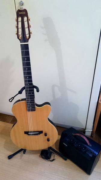 Yamaha YAMAHA YAMAHA AEX500NS エレガット Spruce おまけ