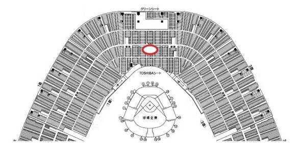 5/7(土)阪神vsヤクルト【グリーンシート中央前席9段】通路側ペア