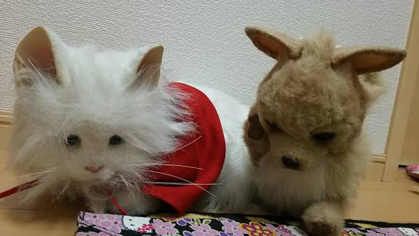夢ねこ セレブ 猫を飼えない人に まるで本物のような猫の