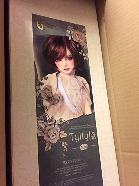 送料無料 新品未使用 ボークス SDgr 男の子 チルチル フルセット