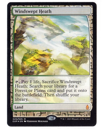 吹きさらしの荒野 | Foil MTG EXP 日本 土地R FOIL Foil《吹きさらしの荒野
