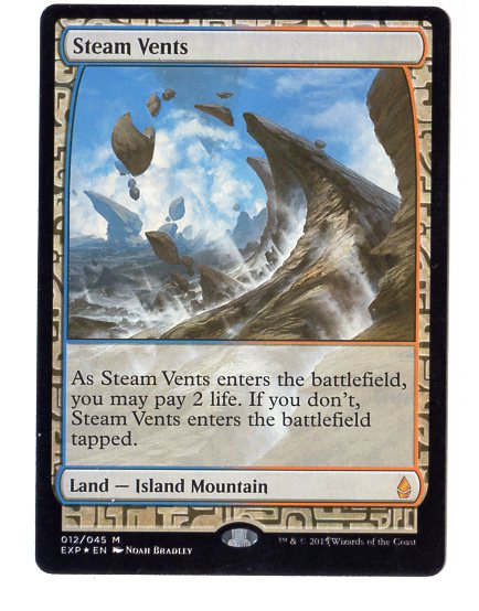 MtG　蒸気孔　EXP MTG EXP Foil 蒸気孔 MTG 蒸気孔 【公式通販】