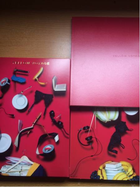 星野源 「Live Tour YELLOW VOYAGE」 DVD 2枚組＋ブックレット