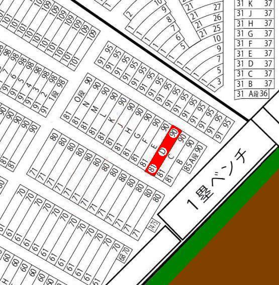 ①★ベンチ上!激近!!6/10(日)阪神×広島◆1塁SMBC◆D段(4段)ペア