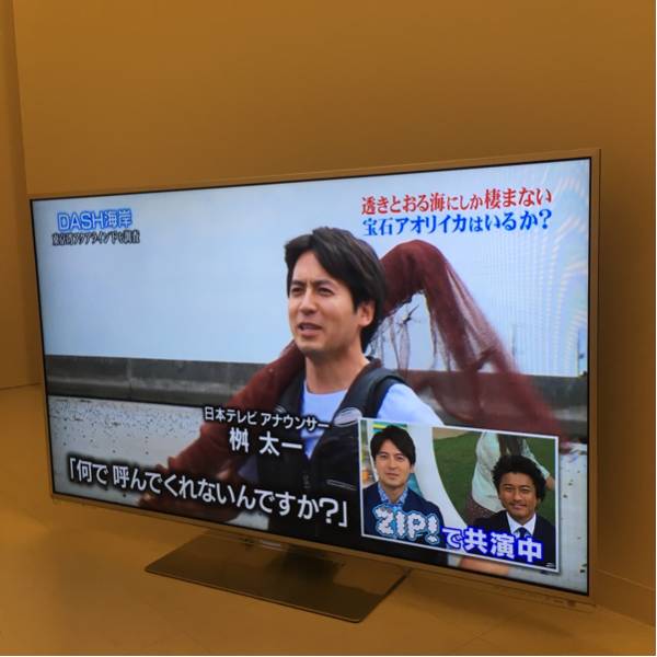 Panasonic VIERA TH-L47DT5 液晶テレビ 【公式通販】
