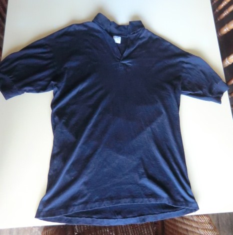 ANATOMICA アナトミカ SKIPPER POLO スキッパーポロ メンズ L(Lサイズ